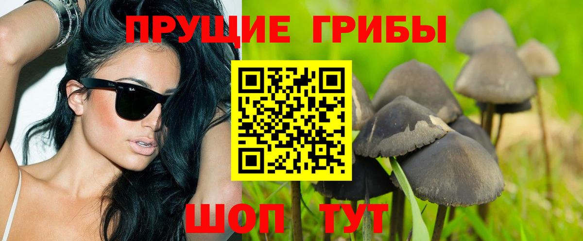 Пыть-Ях  Галлюциногенные грибы MAGIC MUSHROOMS  Вход с VPN 